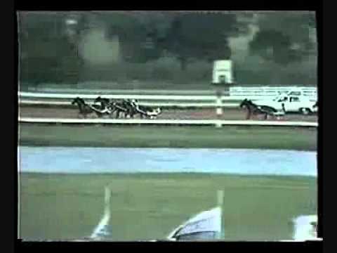 World Trotting Derby 2nd Heat 1988 -Armbro Goal