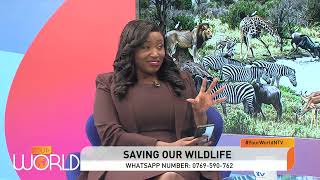 Saving Our Wildlife: Protecting Kenya’s Natural Heritage