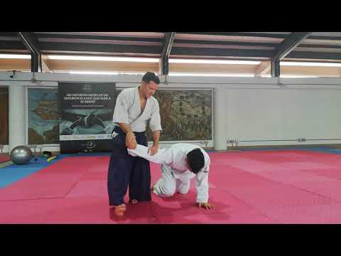 Morote dori Ikkyo (two forms)