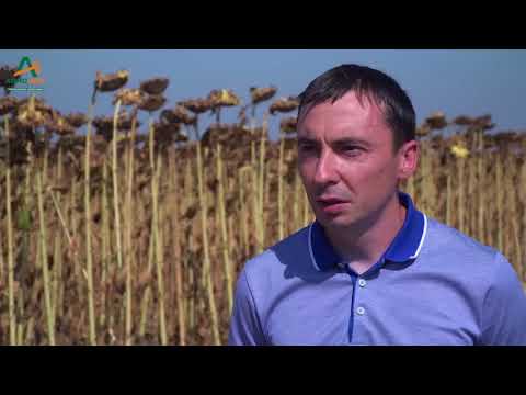 TESTIMONIAL Mihai Stan