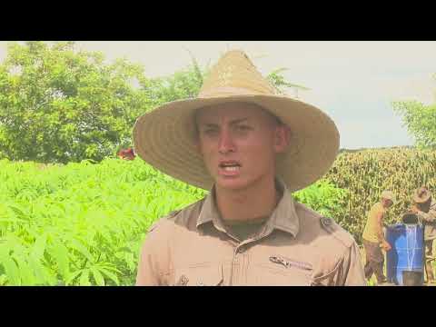 Jóvenes granmenses se incorporan a las producciones agropecuarias