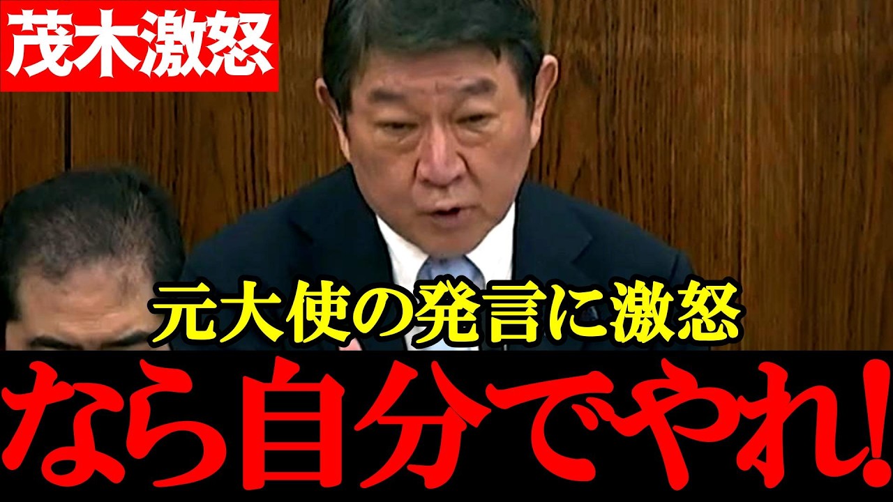 【公明党・平木大作】元駐イラン大使の発言に茂木大臣ブチギレ「じゃあ自分でやれ！」緊迫の委員会【2026年4月2日参議院外交防衛委員会】