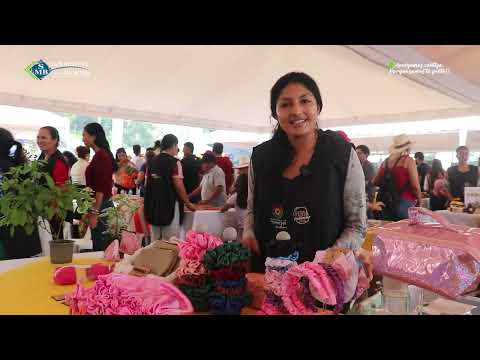 Expoferia Pedro Vicente Maldonado 2026 | COAC San Miguel de los Bancos