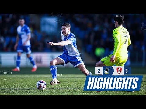 bg-highlight