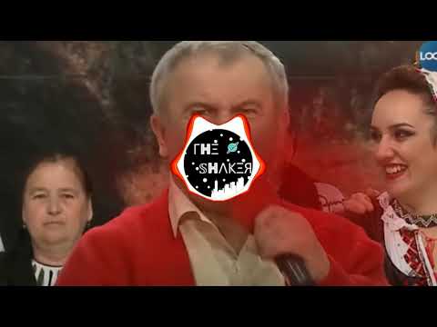 Sergiu Vitalian Vaida & Nanasii - Coty Unguroaica (TS remix)