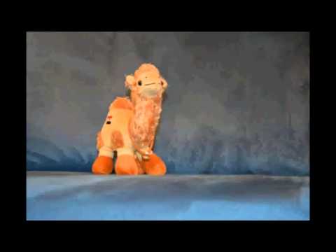 fun4all - Das tanzende Kamel / Camel Dancing