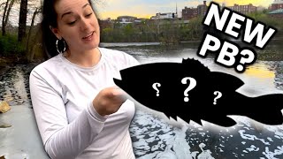This spot is LOADED with BASS!!! (BANK fishing)