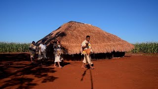 Plataforma on-line mostra a resistência indígena durante a pandemia