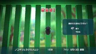 〈実況〉『』なつもん! 20世紀の夏休みを実況プレイpart8月13日