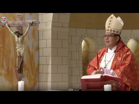 Santa Misa Domingo de Ramos