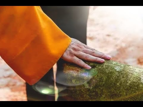 Thương lắm thầy ơi - Thu Trang