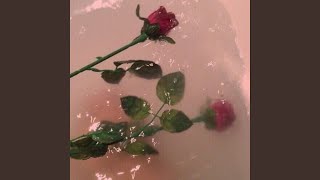 Cariño Te Extraño Music Video