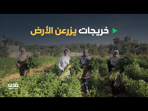 , title : 'خريجات فلسطينيات يطلقن مشروعاً لزراعة الأرض'
