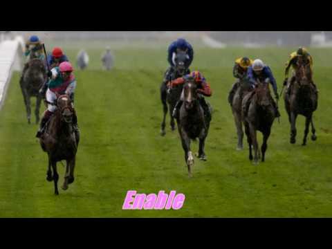 Top 20 King George & Queen Elizabeth Stakes Winners 1955 - 2017