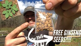 How to get FREE GINSENG SEEDS!!
