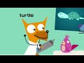 The Dog And The Cat Veterinarian Veterinarian