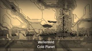 Wellenfeld - Cold Planet