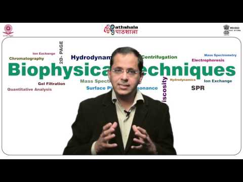 Electrophoretic Mobility Shift Assay