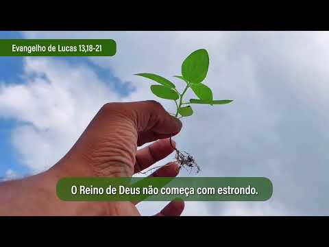 Imagem Vídeo