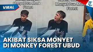 Berperilaku Seperti Monyet! Pria Ini Kesurupan setelah Lempar Monyet di Monkey Forest Ubud