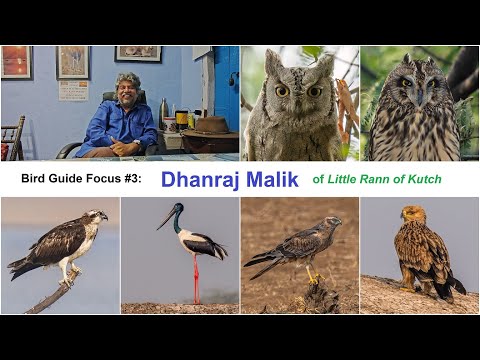 Hear from Dhanraj Malik - Birding in LRK | Pallid Scops Owl, Peregrine Falcon, MacQueen's Bustard
