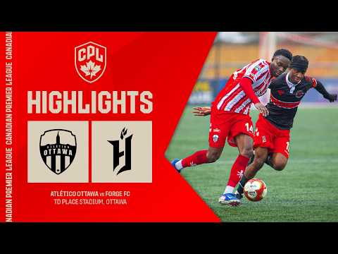 bg-highlight