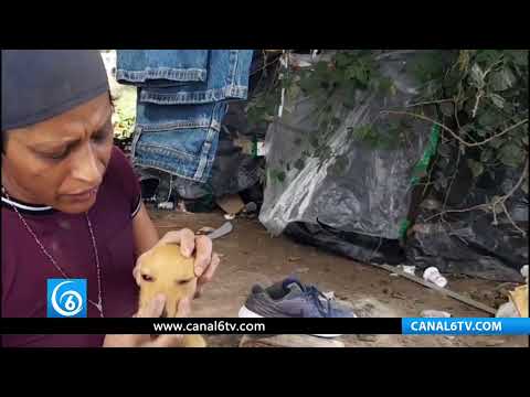 Video: Incrementa la población indigente en Nayarit
