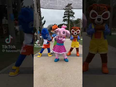 seaside squad are here for 2024