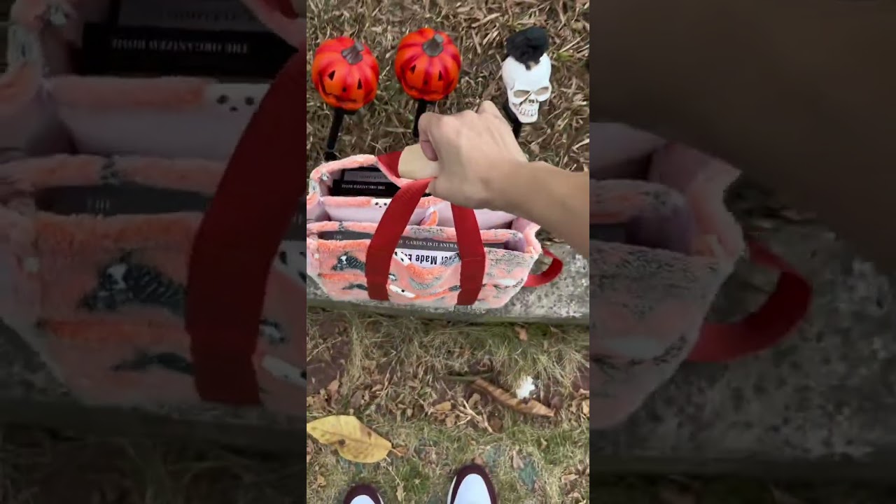 Cute ghost tote bag vibes #halloween2024 #fashion #fok #totebag