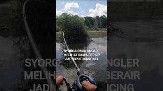 Download lagu SYORGA PARA ANGLER MELIHAT SPOT RAWA BERAIR LANGSUNG TURUN JORAN mp3