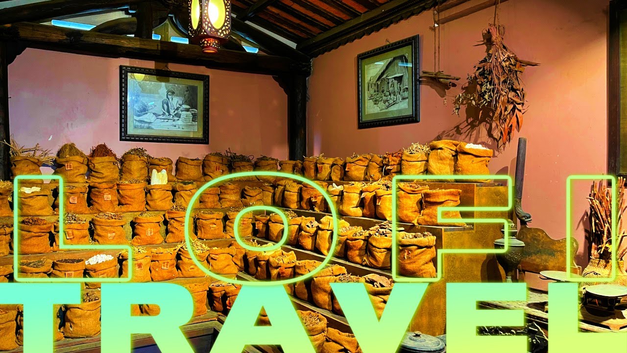 Explore the fascinating world of Vietnamese medicine at the FITO Museum.