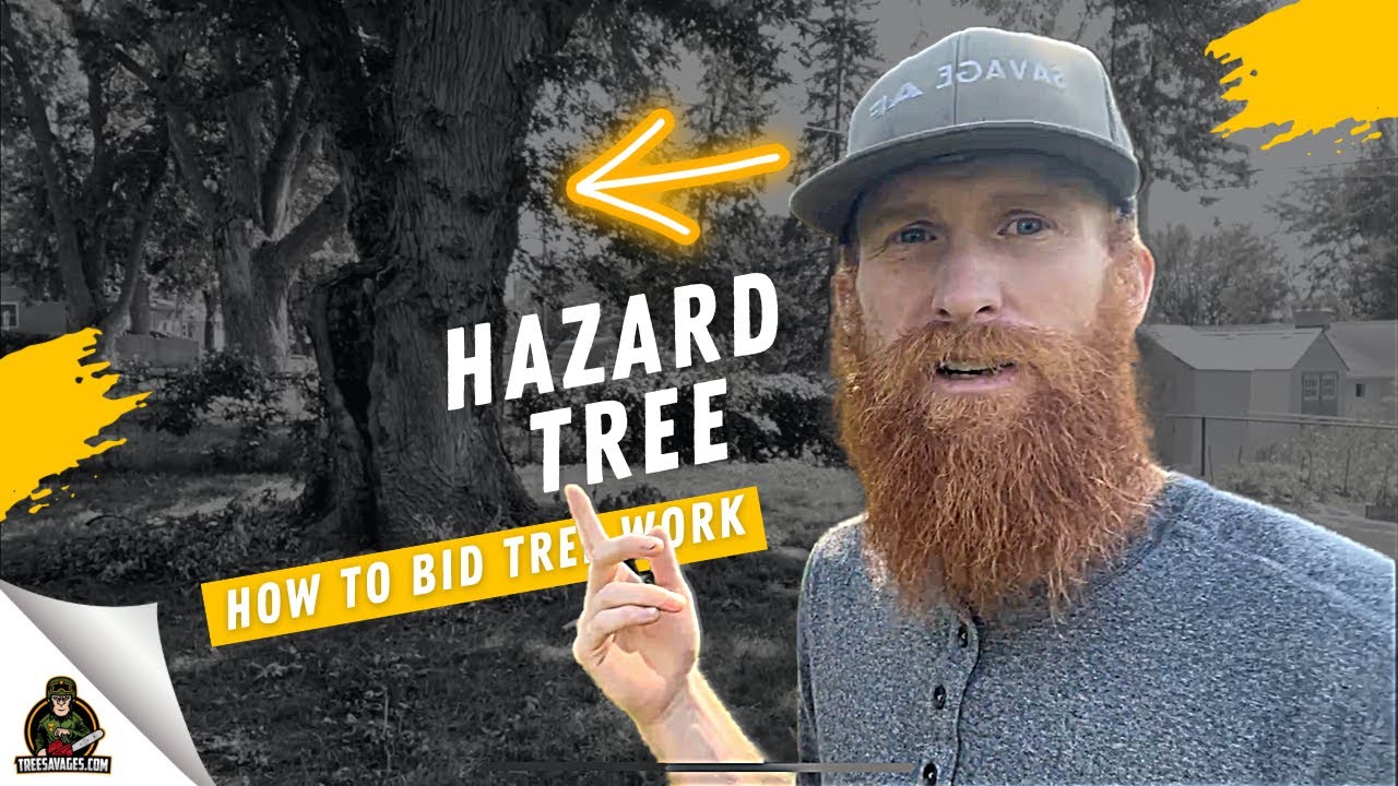 How Do I Price Difficult Tree Removals?