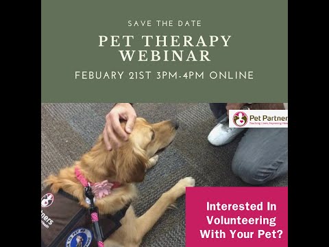 How to Become a Pet Therapy Team!!!