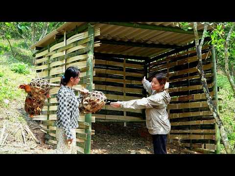 She Gave Me Chickens… This Changed Everything  EP