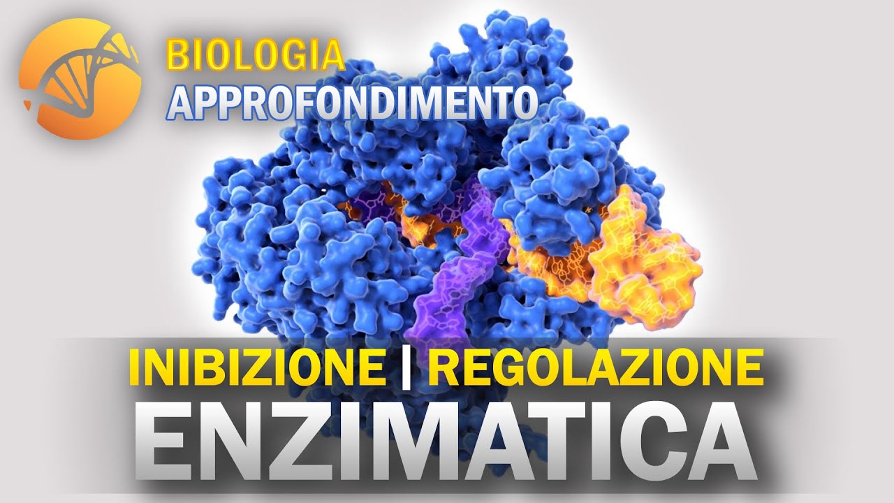 BIOLOGIA - Inibizione e Regolazione Enzimatica | Approfondimento