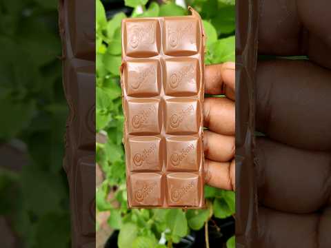 😂💥*DAIRY MILK SHAKE*🤤 Seilama⁉️🙈🔥🥳 #shorts