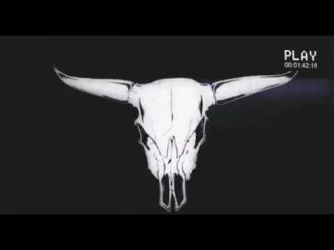 TRAPUNIVERSO - HIERBA SANTA🌴