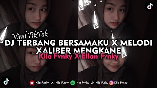 Download lagu DJ TERBANG BERSAMAKU X MELODI XALIBER MENGKANE  SOUND RONIX REVAMP VIRAL TIKTOK 2023 mp3