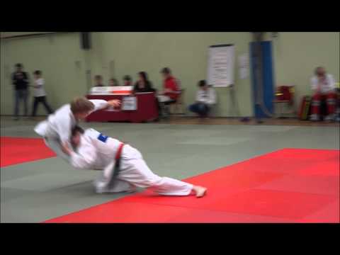 Elvin beim HT16 2013