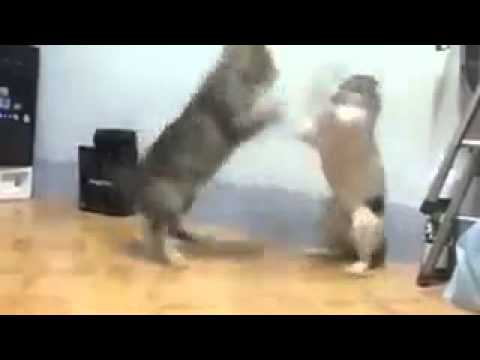 Gabriel foi fazer a unha fabiula