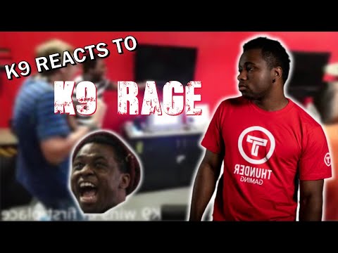K9sbruce Reacts to his Rage Videos