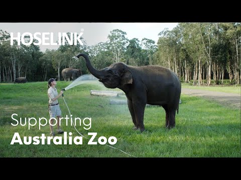 Australia Zoo x Hoselink - Supporting Wildlife Conservation | Cultivating Connections | Episode 5