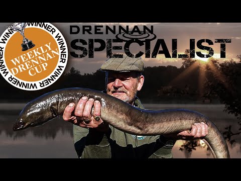 10lb + Eel | Steve Pitts | Specimen Eel Fishing