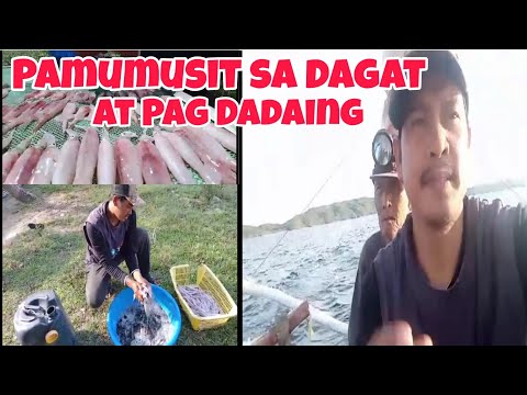PAMUMUSIT AT PAG DADAING NG PUSIT || BUHAY MANGINGISDA || BUHAY PROBINSYA