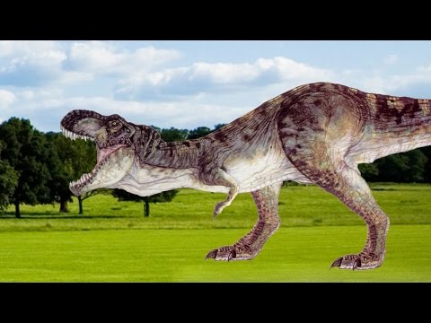 T-rex VS Raptor - Dinosaur animated Fight