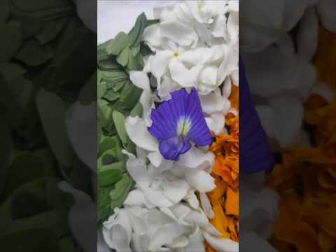 eco friendly independence day special DIY #independenceday #trending #shorts #aaradhyamanse