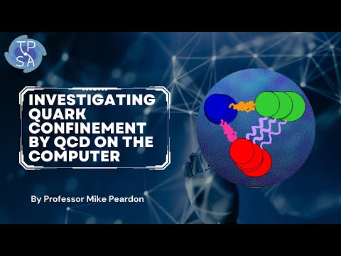 Investigating Quark Confinement by QCD on the Computer