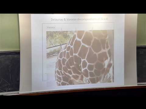 F. Luo - Discrete conformal geometry of polyhedral surfaces and its convergence