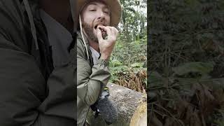 🇪🇨 Eating Worms in Ecuador Amazonian Jungle #shorts