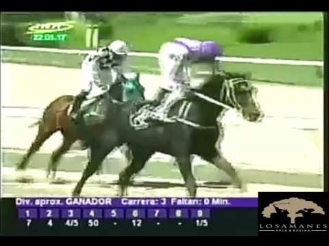 LA RINCONADA RESUMEN DOMINGO 22 DE ENERO DEL 2017